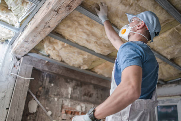 Best Types of Insulation in Sebree, KY